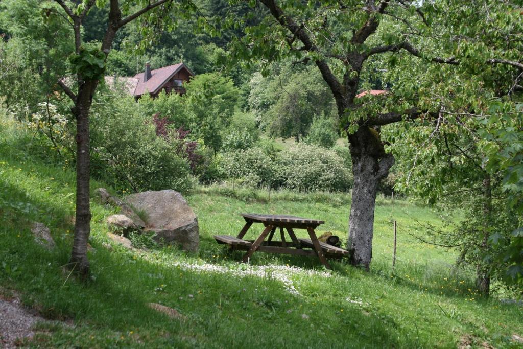 Du Kreuzweg * Le Hohwald