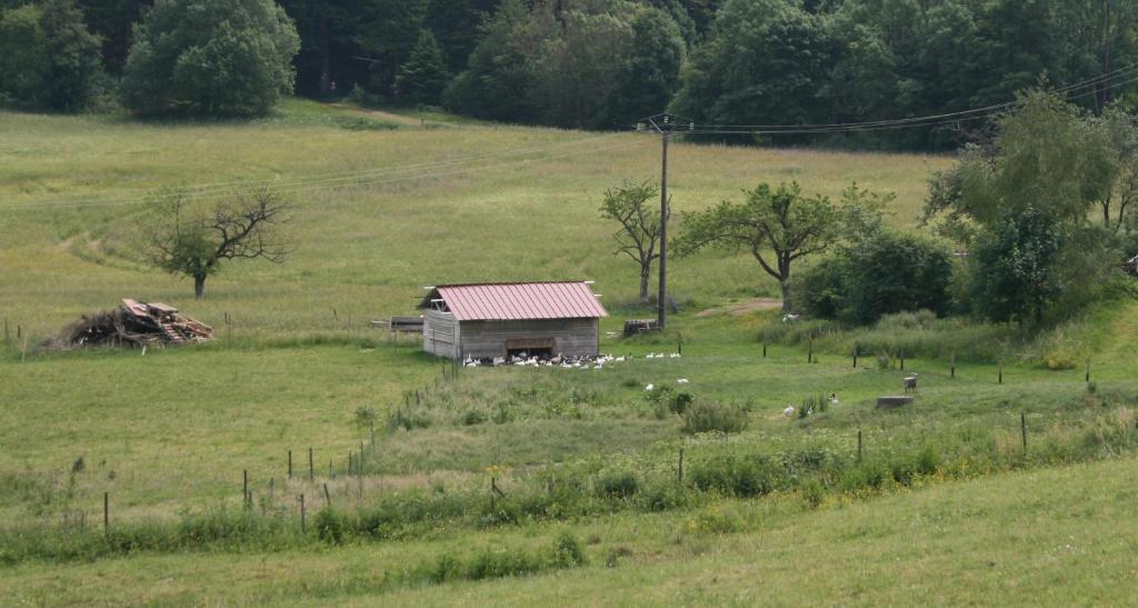 Du Kreuzweg