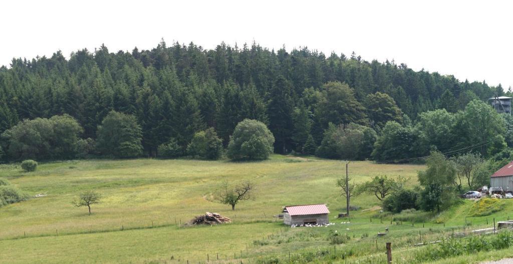 Du Kreuzweg