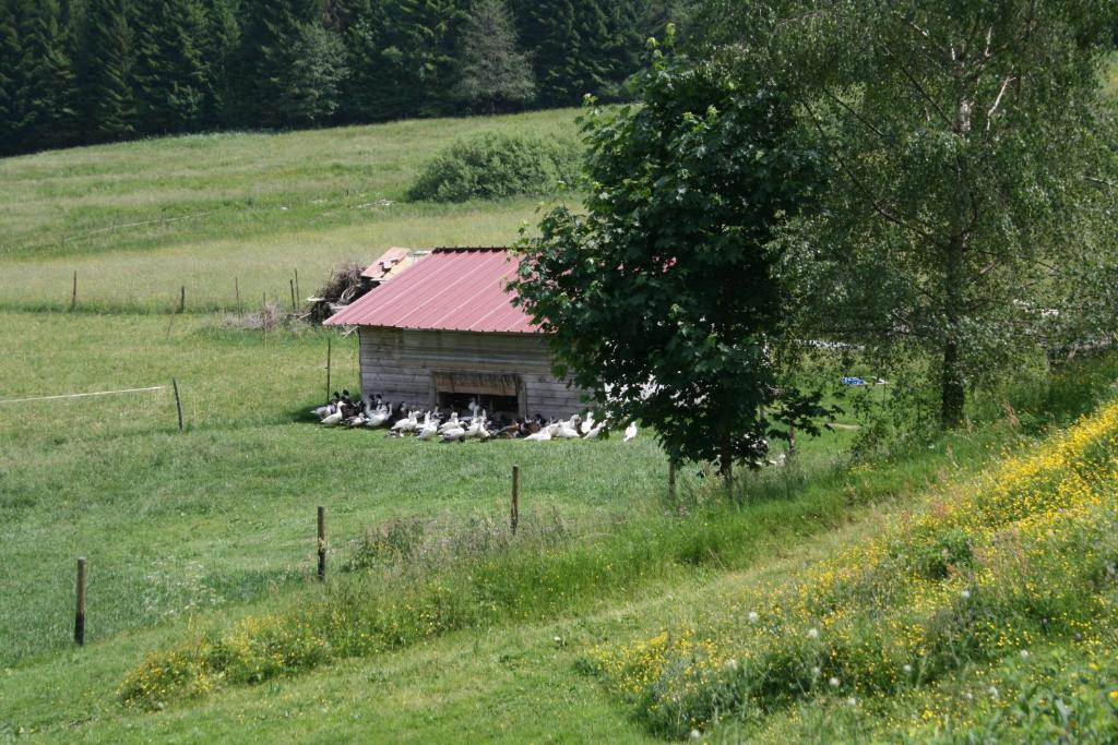 Du Kreuzweg * Le Hohwald